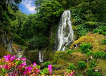 Sao Miguel - Viatges Samblas