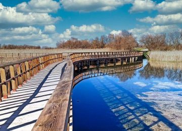 Tablasdedaimiel - Viatges Samblas